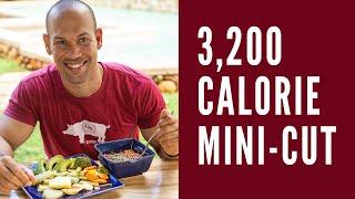 Natural Bodybuilding Diet  I  3,200 Calorie Mini-Cut