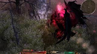 Grim Dawn Страж