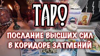 ТАРО🪽ПОСЛАНИЕ ВЫСШИХ СИЛ В КОРИДОРЕ ЗАТМЕНИЙ #татьянаживотворящая #гаданиеонлайн #раскладтаро