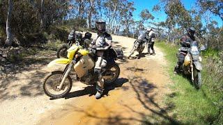 4 adventure bikes hit the High Country