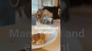 Elephant vs woolly mammoth