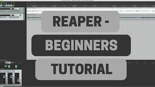 Reaper Beginners Tutorial - Recording Guitar and Vocals