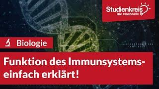 Funktion des Immunsystems! | Biologie verstehen mit dem Studienkreis