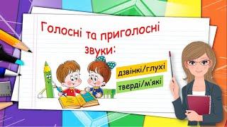 Голосні та приголосні звуки (дзвінкі/глухі, тверді/м'які)