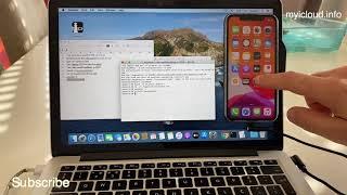 iCloud Bypass iOS 12 and iOS 13 iPhone X checkra1n