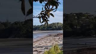 Snells Beach, New Zealand