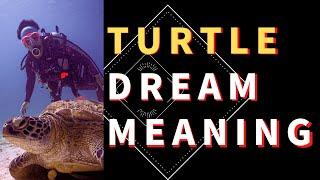 Dream about Turtle: Decoding the Meaning of Turtle Dreams: Turtle Dreams Interpretation