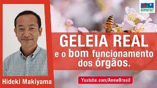 Geleia Real e o Bom Funcionamento Dos Órgãos