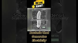 Bacteria that Feeds On Metals Generating Electricity!| Electricity Producing Bacteria | Metal-Eater
