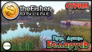 FISHER ONLINE - БЕЛАРУСЬ: ПРУД ДУКОРА ЗАКРЫВАЕМ НА СЕРЕБРО. ТРОФЕЙНЫЙ ЁРШ. СТРИМ. #12