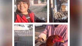 Aj hum chicken market /vegetable market gaye || Naeem Bhai