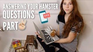 Answering YOUR Hamster Questions PART 2