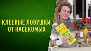 Ловушка садовая клеевая для отлова насекомых-вредителей