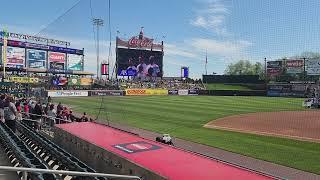 palmssingers ironpigs