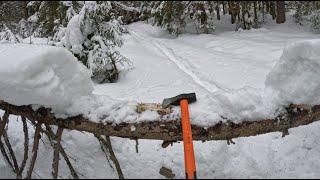 Cut old pine log with a chopper: first cut