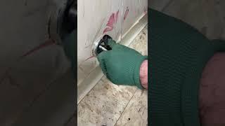 toilet replacement #plumbing