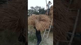 sujeet tiwari