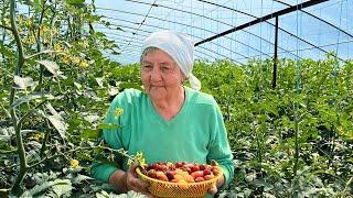Hard life with a 78 year old grandmother in the village  How a grandson copes with his tasks