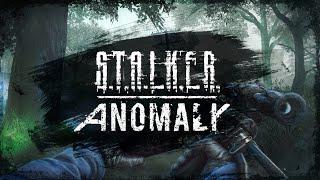 СТРИМ ️STALKER ANOMALY REDUX️