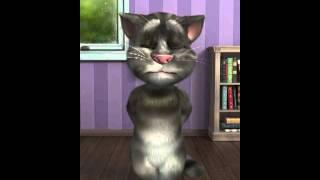 Talking Tom