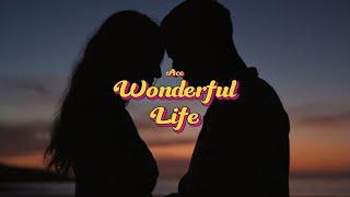 WONDERFUL LIFE  | Ace | Barrell | Latest Punjabi Romantic Song 2024 | Grand Club Productions