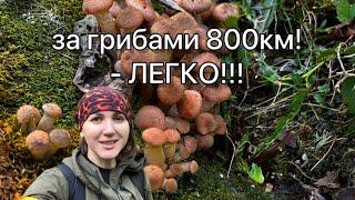 Местные обалдели от нашего улова! Еще бы, не зря 800км пёрлись