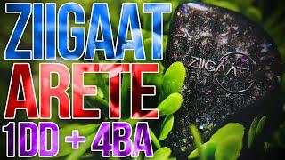 Review of ZiiGaat x Fresh Reviews Arete - Simply amazing hybrids!