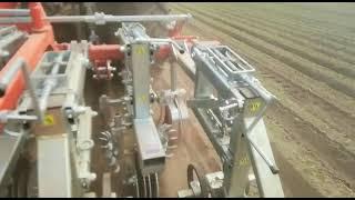 SARCHIATRICE ROTOVERT INTERROW WEEDING MACHINE BINEUSE HACKMACHINE CAROTA, MOHREN, CARROTS CARROTTES