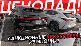 САНКЦИОННЫЕ КРОССОВЕРЫ ИЗ ЯПОНИИЭТО НЕ ДОРОГО⁉️ИДЕАЛЬНЫЙ АВТОМОБИЛЬ ДЛЯ ВАШЕЙ СЕМЬИ