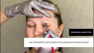 Окрашивание перешипанных бровей краской Okis brow. Художественное оформление бровей. Елена Поль