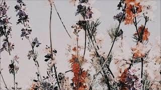 [sold] sad acoustic guitar type beat no drums / instrumental "prequel" (prod. acey)