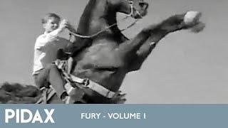 Pidax - Fury - Die Geschichte eines Pferdes (1955 - 1960, TV-Serie)