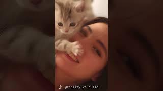 AI Art2: Kitten Chaos & Joyful Smiles!  Fluffy Kitty's Adorable Antics | Wan2.1-T2V-14B