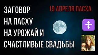 Заговор на Пасху при появлении солнца /Заговор на урожай и счастливые свадьбы 