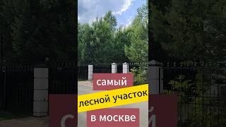 Заросли.. кп Усадьба Шарапово