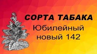 СОРТ ТАБАКА Юбилейный новый 142. Семена табака.