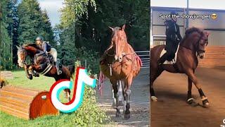 The Best HORSE  TikTok Compilation #111