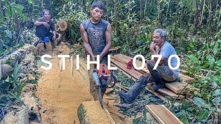 @OpaLexi DAN CREWNYA LAGI GESEK KAYU DAMAR DAN MATOA || STIHL MS 070