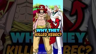 Why Garp and Gol D. Roger Killed Rocks D. Xebec? One Piece Theory #onepiece #shorts