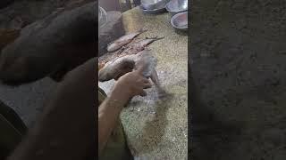 fish cleaning and cutting 5  #shorts#youtubeshorts#viral