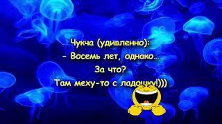 Лучшие анекдоты. Выпуск 35 | Смех до Слез с этими Анекдотами