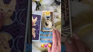 ️Что ждёт в личной жизни таро гадание онлайн #чтоскоропроизойдет #мужчинанапороге #shorts