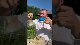 Хватит травить себя! Дары природы это самое лучшее что мы можем пить и есть
