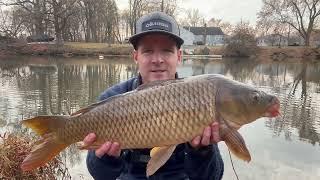 Carp Still Bite in the Cold! (Winter Carp Fishing)