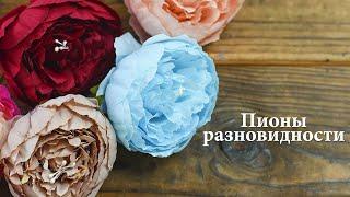 Пионы разновидности 100 идей Півонії різновиди 100 ідей