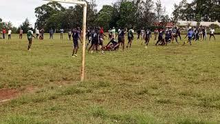 Rongo University Rugby