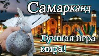 Лучшая игра мира.Столбовая, винтовая игра голубей с гребом.Узбекские голуби Самарканд.Игровые голуби