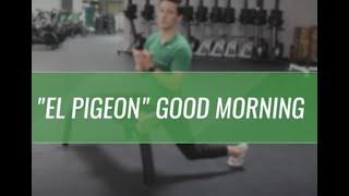 "El Pigeon" Good Morning