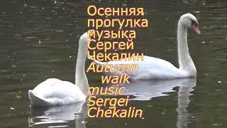 Осенняя прогулка - 1.  Музыка Сергея Чекалина. Autumn Walk. Music by Sergei Chekalin.