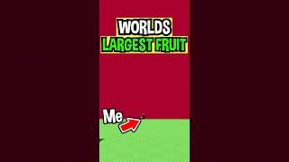 WORLD LARGEST 2000KG FRUIT in Roblox Grow a Garden..